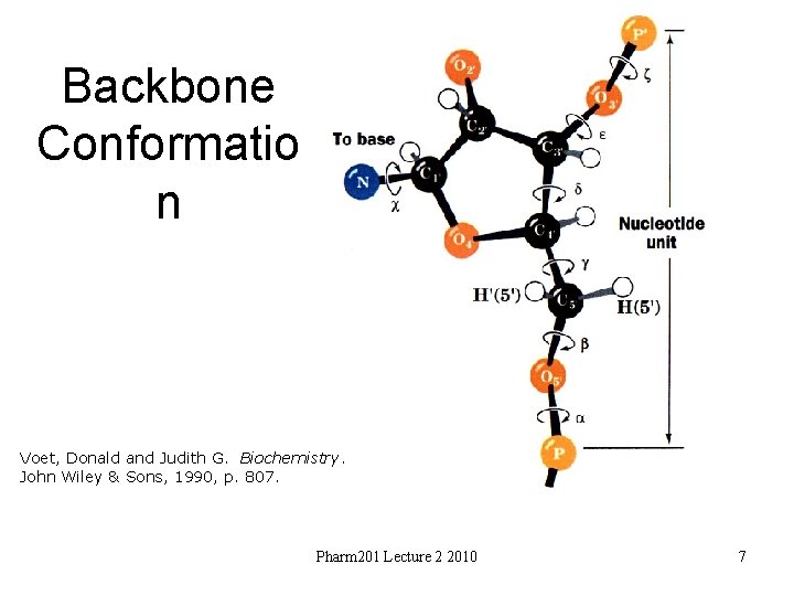 Backbone Conformatio n Voet, Donald and Judith G. Biochemistry. John Wiley & Sons, 1990,