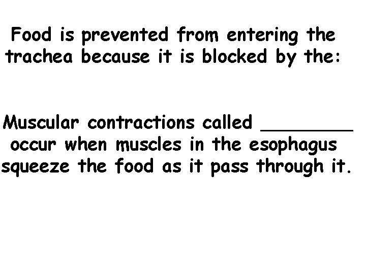 Food is prevented from entering the trachea because it is blocked by the: Muscular