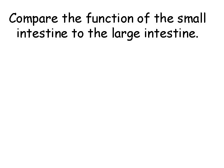 Compare the function of the small intestine to the large intestine. 