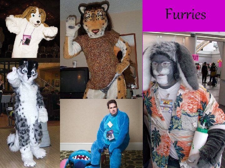 Furries 