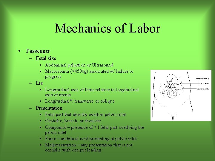 Mechanics of Labor • Passenger – Fetal size • Abdominal palpation or Ultrasound •