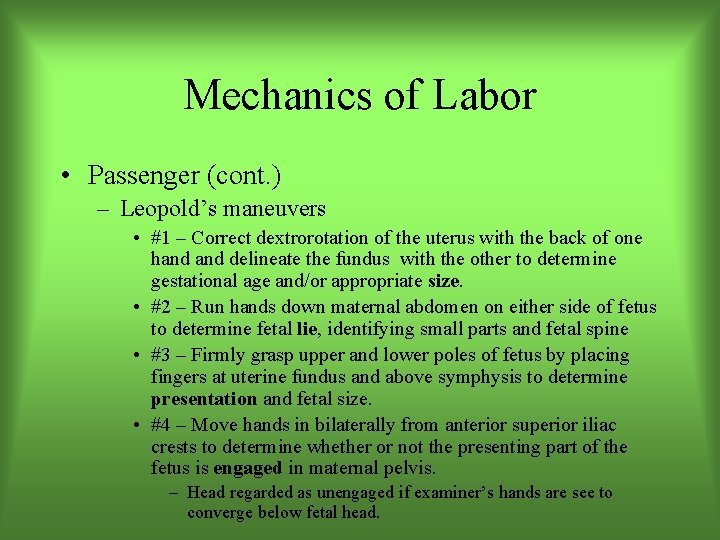 Mechanics of Labor • Passenger (cont. ) – Leopold’s maneuvers • #1 – Correct