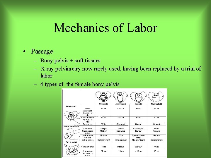 Mechanics of Labor • Passage – Bony pelvis + soft tissues – X-ray pelvimetry