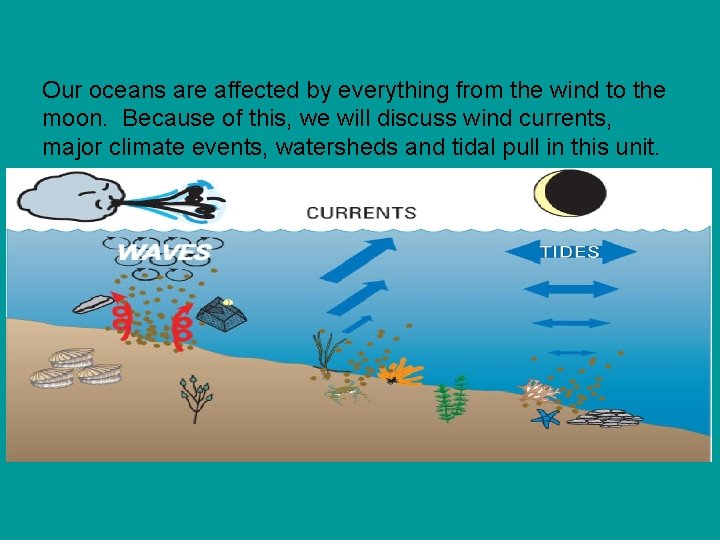 Our oceans are affected by everything from the wind to the moon. Because of