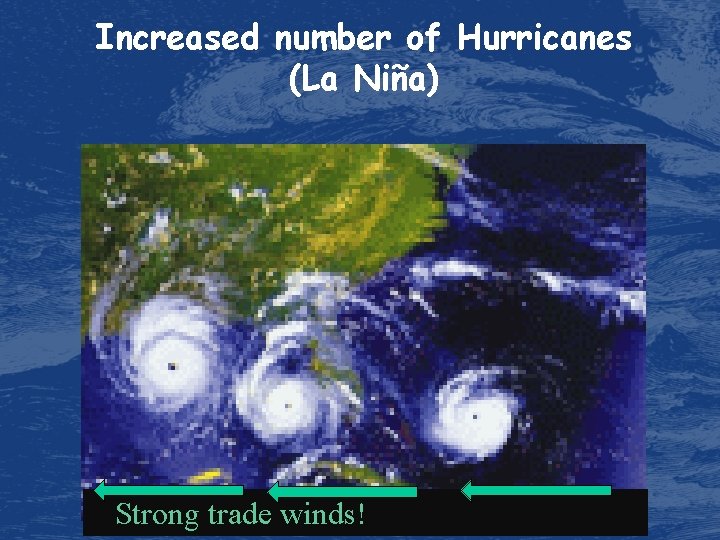 Increased number of Hurricanes (La Niña) Strong trade winds! 