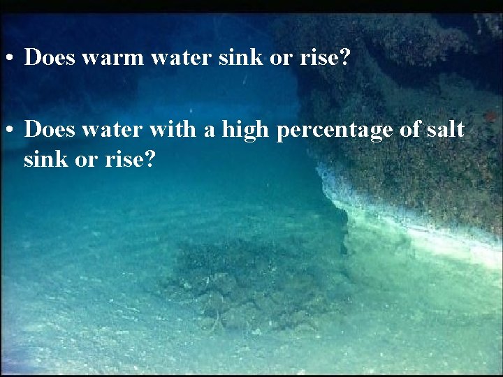  • Does warm water sink or rise? • Does water with a high