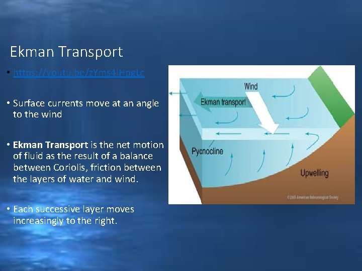 Ekman Transport • https: //youtu. be/z. Yms 4 l. Hpg. Lc • Surface currents
