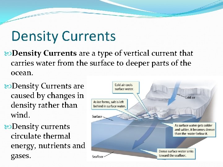 Density Currents are a type of vertical current that carries water from the surface