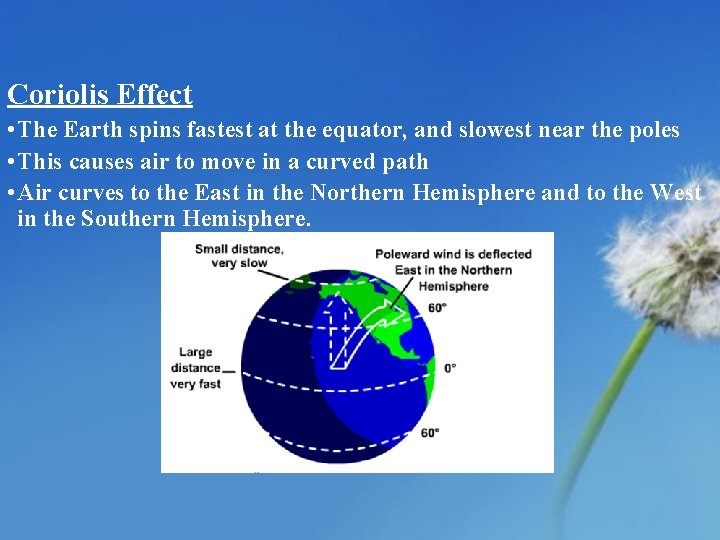 Coriolis Effect • The Earth spins fastest at the equator, and slowest near the
