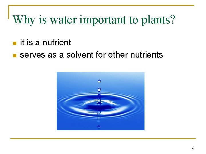 Why is water important to plants? n n it is a nutrient serves as