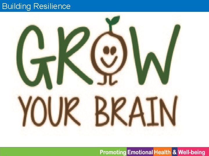 Building Resilience 