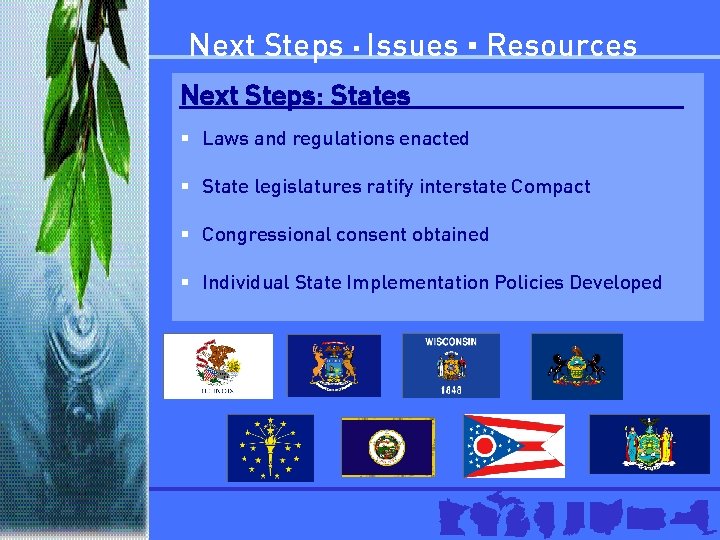 Next Steps ▪ Issues ▪ Resources Next Steps: States § Laws and regulations enacted