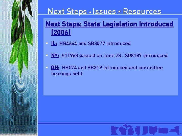 Next Steps ▪ Issues ▪ Resources Next Steps: State Legislation Introduced (2006) § IL: