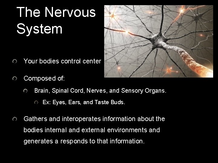 The Nervous System Your bodies control center Composed of: Brain, Spinal Cord, Nerves, and