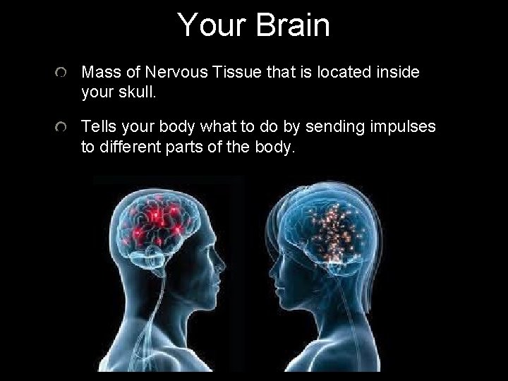 Your Brain Mass of Nervous Tissue that is located inside your skull. Tells your