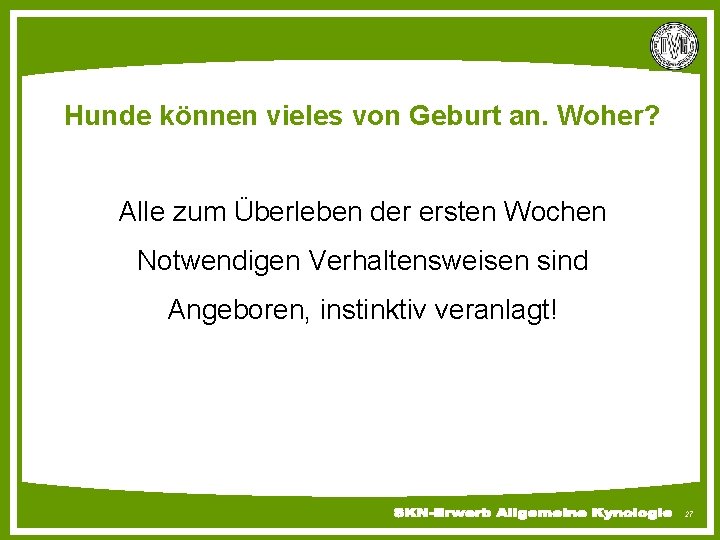 Hunde können vieles von Geburt an. Woher? Alle zum Überleben der ersten Wochen Notwendigen