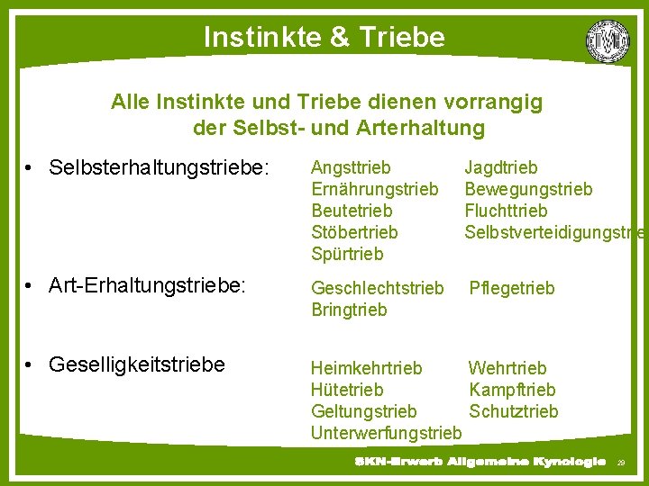 Instinkte & Triebe Alle Instinkte und Triebe dienen vorrangig der Selbst- und Arterhaltung •