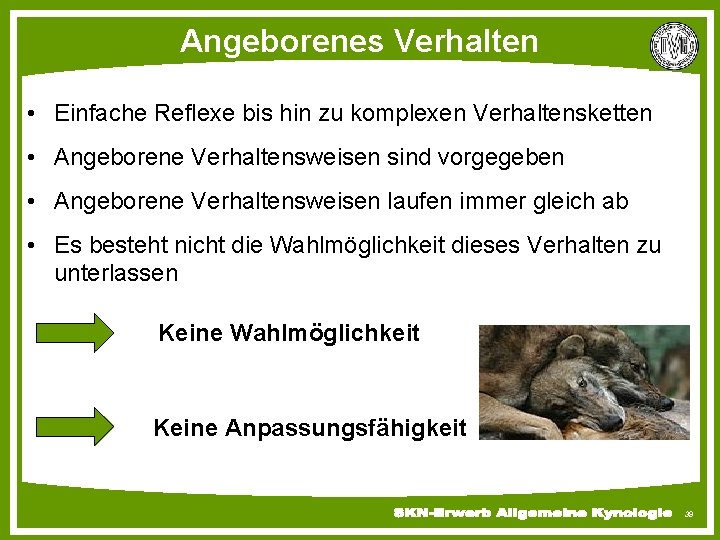 Angeborenes Verhalten • Einfache Reflexe bis hin zu komplexen Verhaltensketten • Angeborene Verhaltensweisen sind