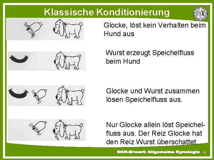 Klassische Konditionierung Glocke, löst kein Verhalten beim Hund aus Wurst erzeugt Speichelfluss beim Hund