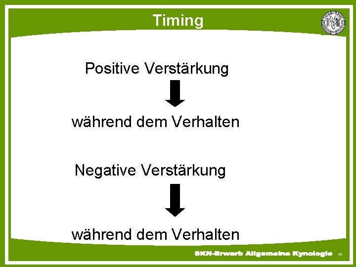 Timing Positive Verstärkung während dem Verhalten Negative Verstärkung während dem Verhalten 61 