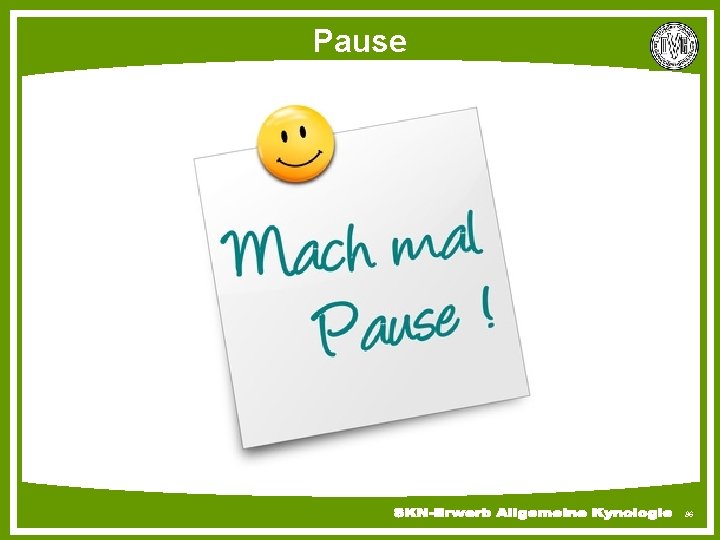 Pause 86 