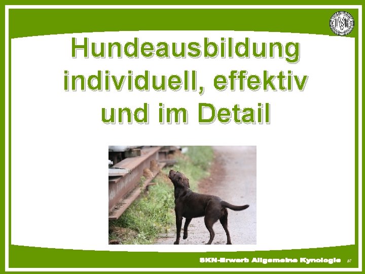 Hundeausbildung individuell, effektiv und im Detail 87 