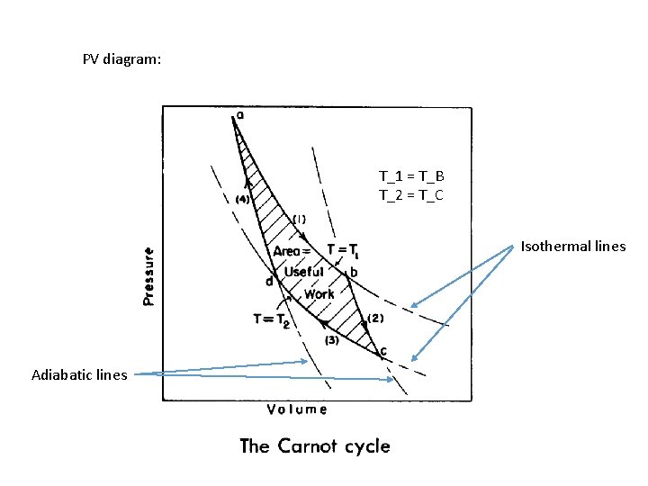 PV diagram: T_1 = T_B T_2 = T_C Isothermal lines Adiabatic lines 