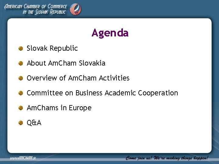 Agenda Slovak Republic About Am. Cham Slovakia Overview of Am. Cham Activities Committee on