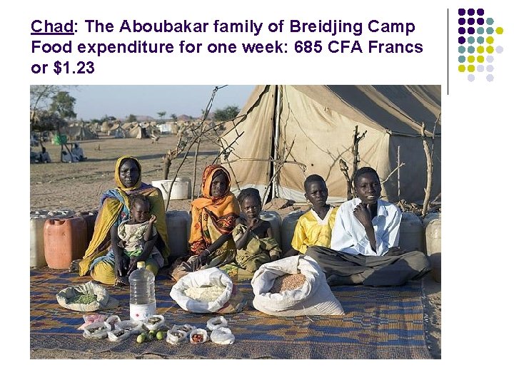 Chad: The Aboubakar family of Breidjing Camp Food expenditure for one week: 685 CFA