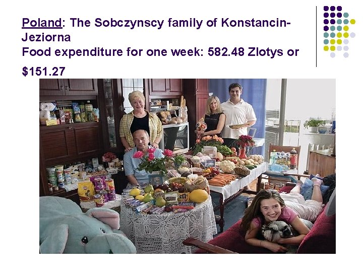 Poland: The Sobczynscy family of Konstancin. Jeziorna Food expenditure for one week: 582. 48