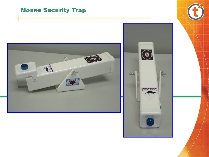 Mouse Security Trap 