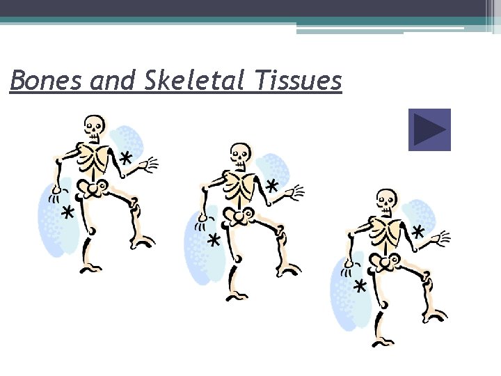 Bones and Skeletal Tissues 