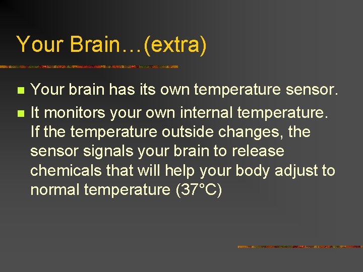 Your Brain…(extra) n n Your brain has its own temperature sensor. It monitors your