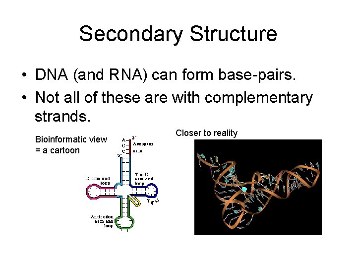 Secondary Structure • DNA (and RNA) can form base-pairs. • Not all of these