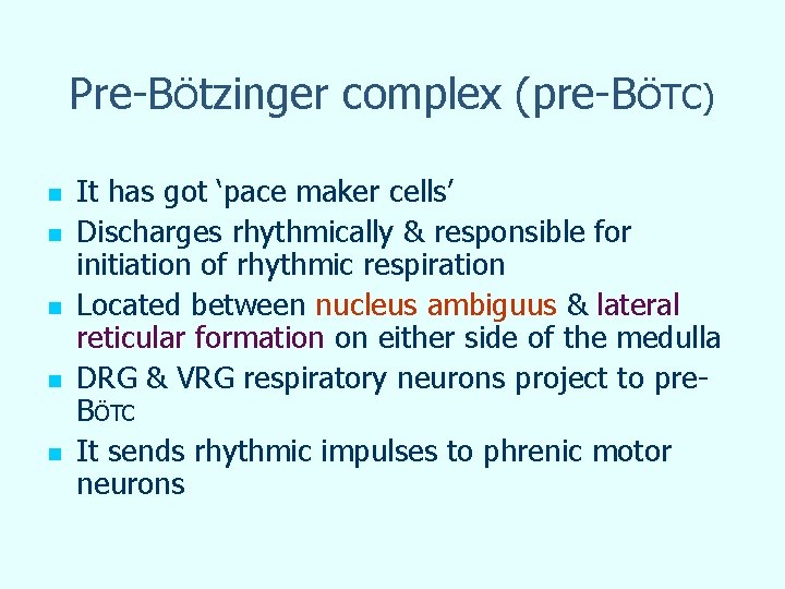 Pre-BÖtzinger complex (pre-BÖTC) n n n It has got ‘pace maker cells’ Discharges rhythmically