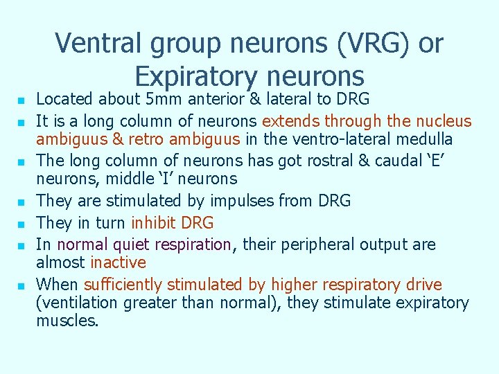 Ventral group neurons (VRG) or Expiratory neurons n n n n Located about 5