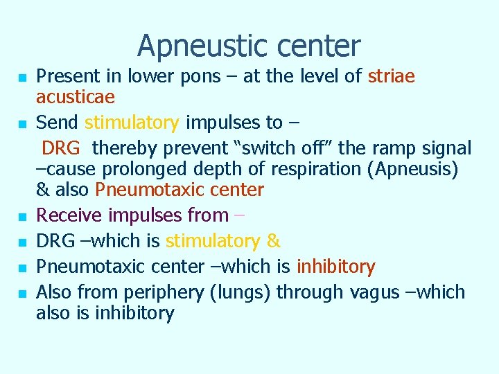 Apneustic center n n n Present in lower pons – at the level of