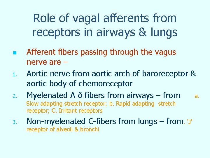 Role of vagal afferents from receptors in airways & lungs n 1. 2. Afferent