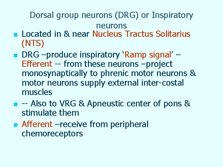 n n Dorsal group neurons (DRG) or Inspiratory neurons Located in & near Nucleus