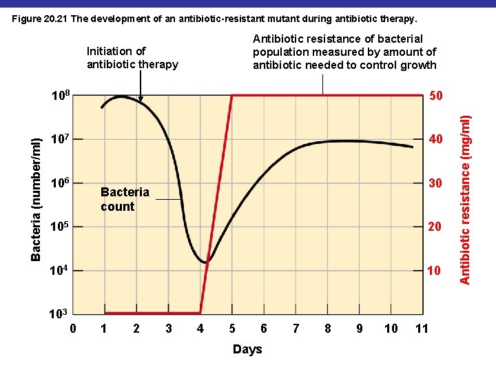 Figure 20. 21 The development of an antibiotic-resistant mutant during antibiotic therapy. Bacteria (number/ml)
