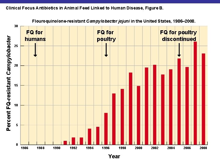 Clinical Focus Antibiotics in Animal Feed Linked to Human Disease, Figure B. Flouroquinolone-resistant Campylobacter