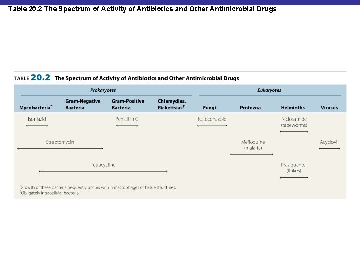 Table 20. 2 The Spectrum of Activity of Antibiotics and Other Antimicrobial Drugs 