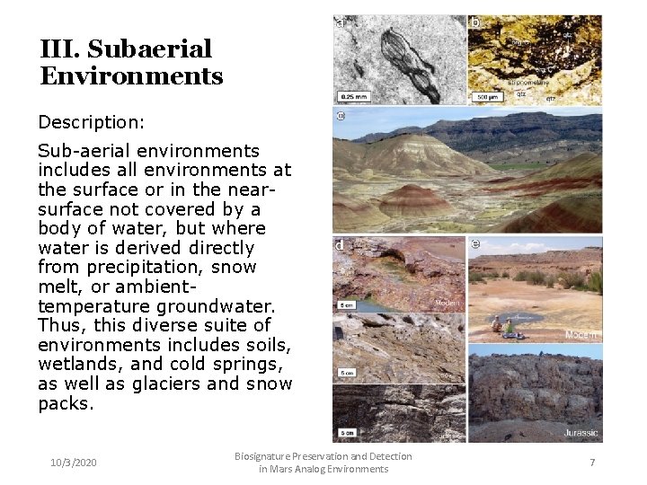 III. Subaerial Environments Description: Sub-aerial environments includes all environments at the surface or in