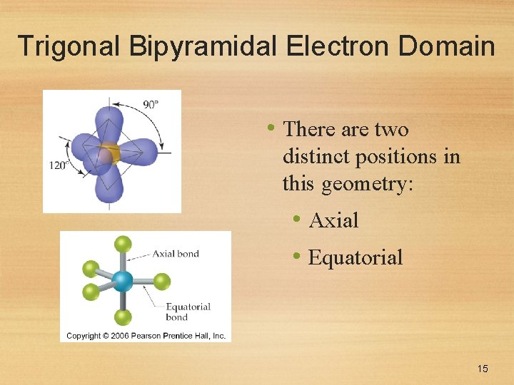 Trigonal Bipyramidal Electron Domain • There are two distinct positions in this geometry: •