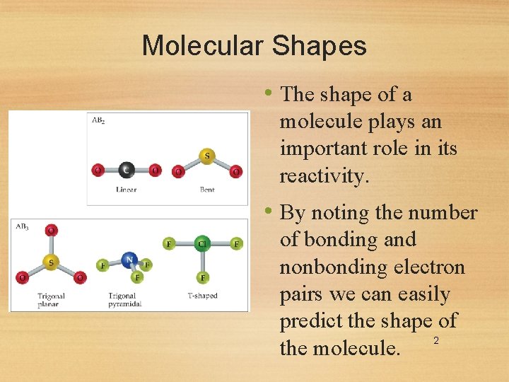 Molecular Shapes • The shape of a molecule plays an important role in its