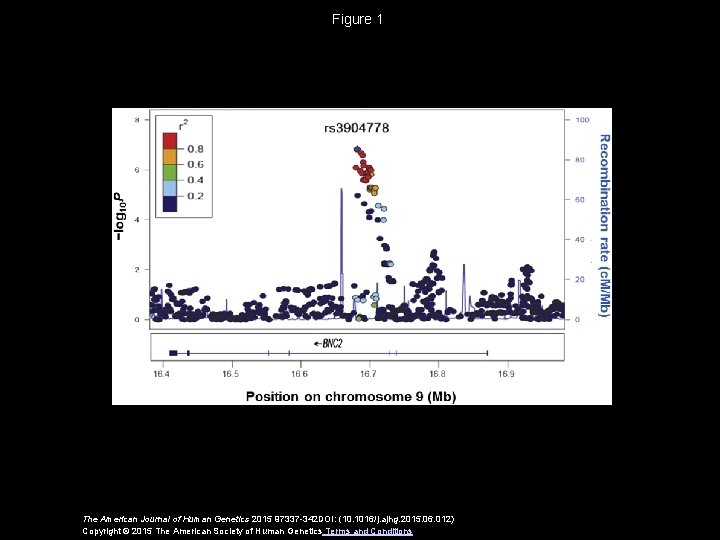 Figure 1 The American Journal of Human Genetics 2015 97337 -342 DOI: (10. 1016/j.