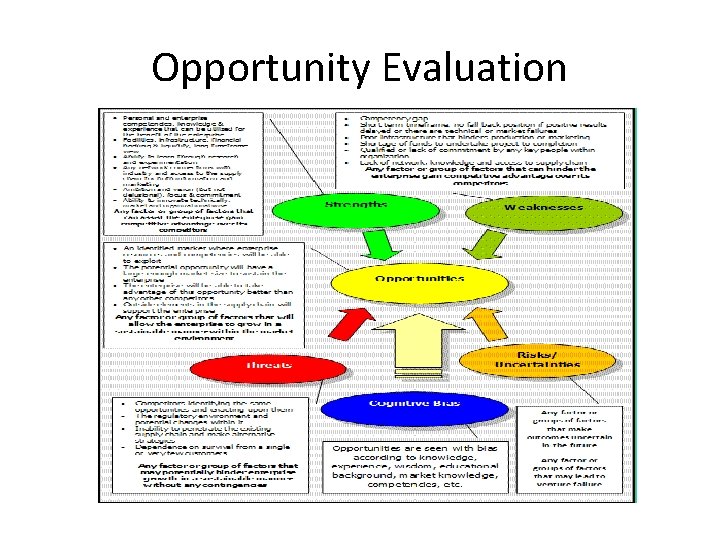 Opportunity Evaluation 
