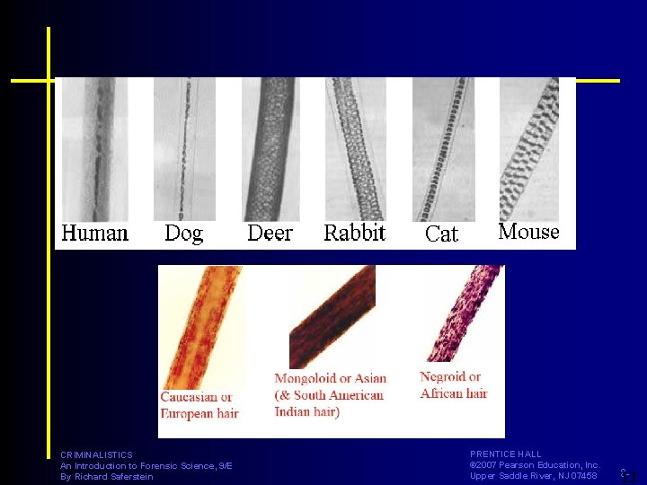 CRIMINALISTICS An Introduction to Forensic Science, 9/E By Richard Saferstein PRENTICE HALL © 2007
