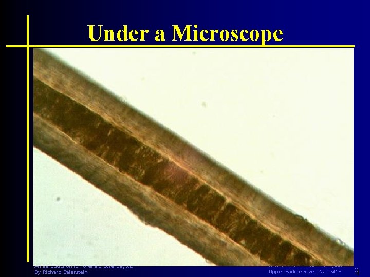 Under a Microscope CRIMINALISTICS An Introduction to Forensic Science, 9/E By Richard Saferstein PRENTICE