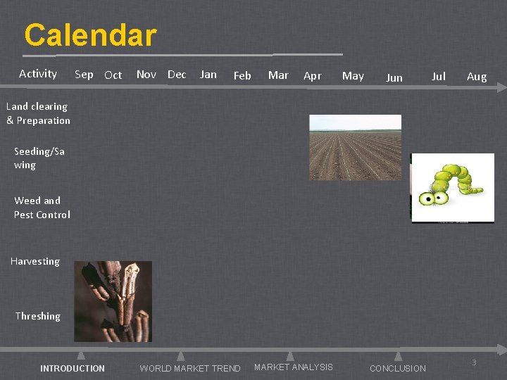 Calendar Activity Sep Oct Nov Dec Jan Feb Mar Apr May Jun Jul Aug